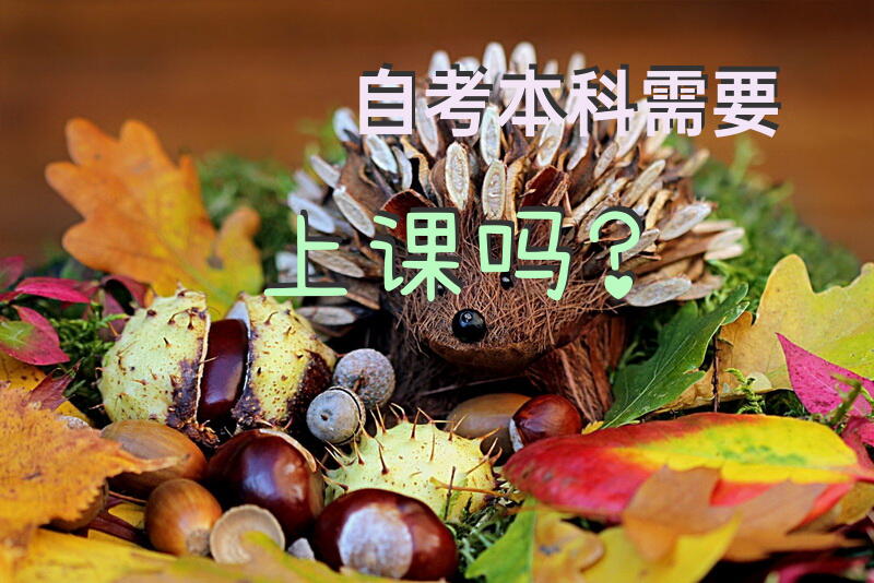 自考本科需要上课吗？
