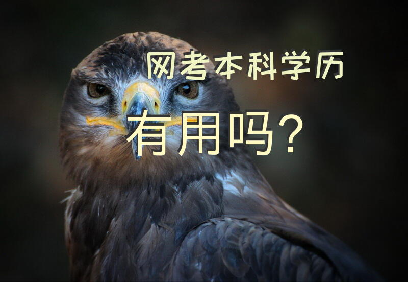 网考本科学历有用吗？