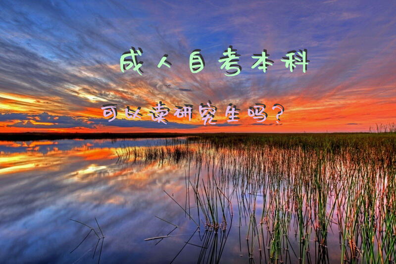 成人自考本科可以读研究生吗？