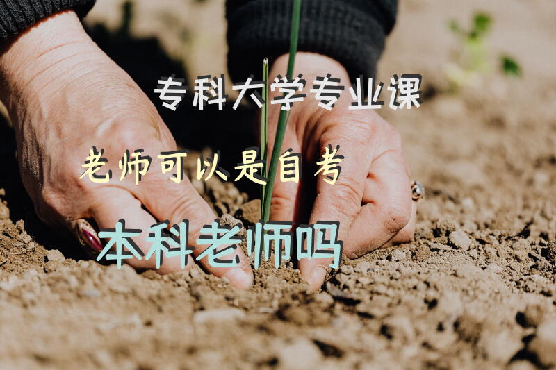 专科大学专业课老师可以是自考本科老师吗？