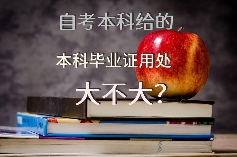 自考本科给的本科毕业证用处大不大？