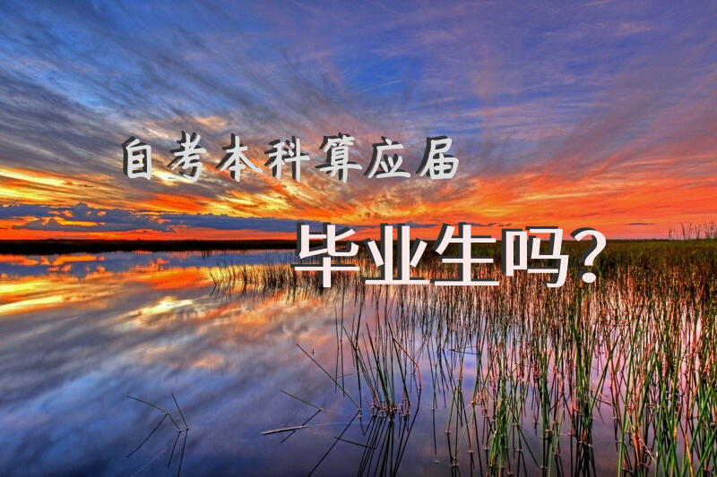自考本科算应届毕业生吗？
