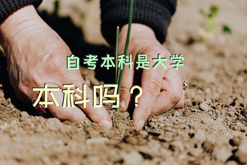 自考本科是大学本科吗？