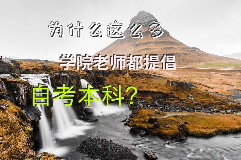 为什么这么多学院老师都提倡自考本科？