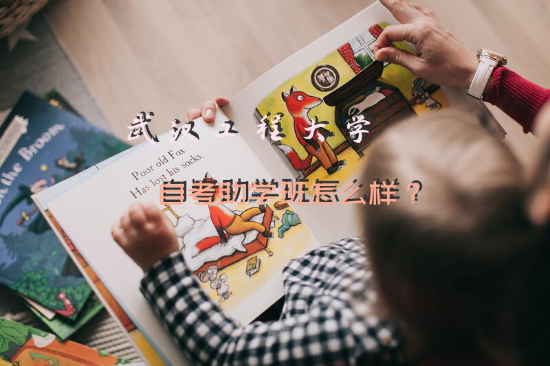 武汉工程大学自考助学班怎么样？