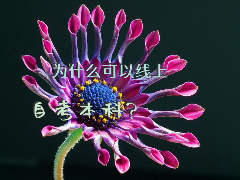 为什么可以线上自考本科？