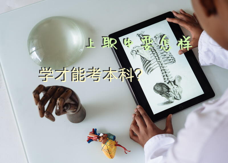 上职中要怎样学才能考本科？