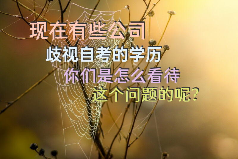 现在有些公司歧视自考的学历，你们是怎么看待这个问题的呢？