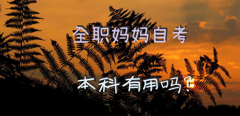 全职妈妈自考本科有用吗？