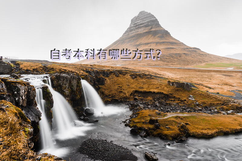 自考本科有哪些方式？