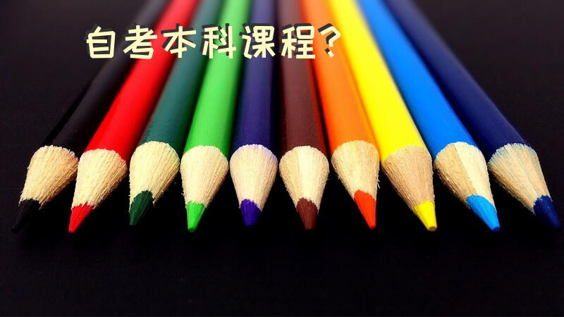 自考本科课程？