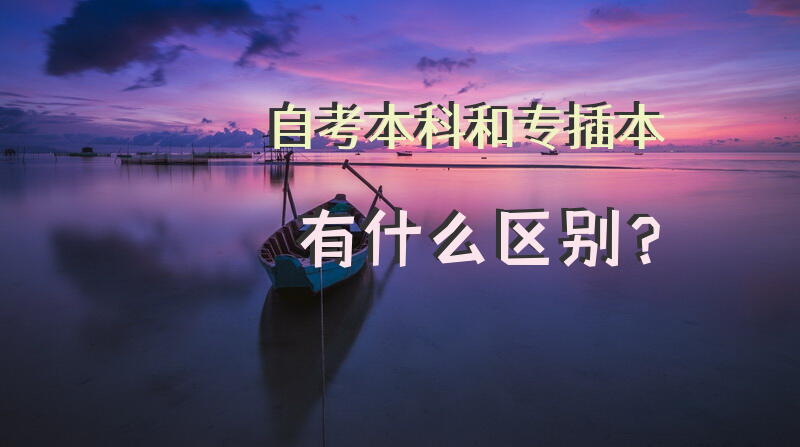 自考本科和专插本有什么区别？