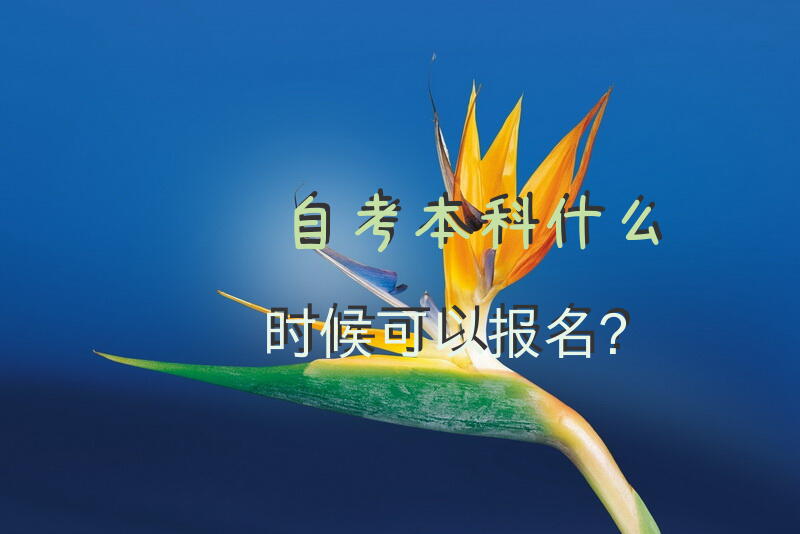 自考本科什么时候可以报名？