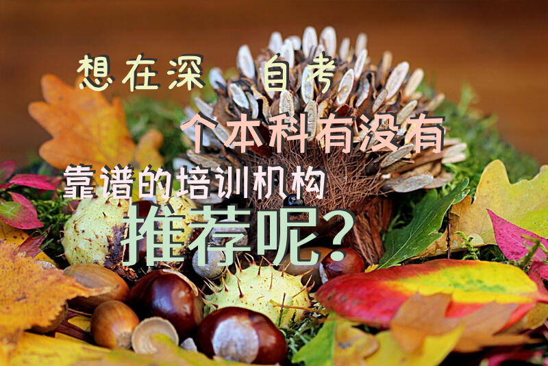 想在深圳自考个本科，有没有靠谱的培训机构推荐呢？