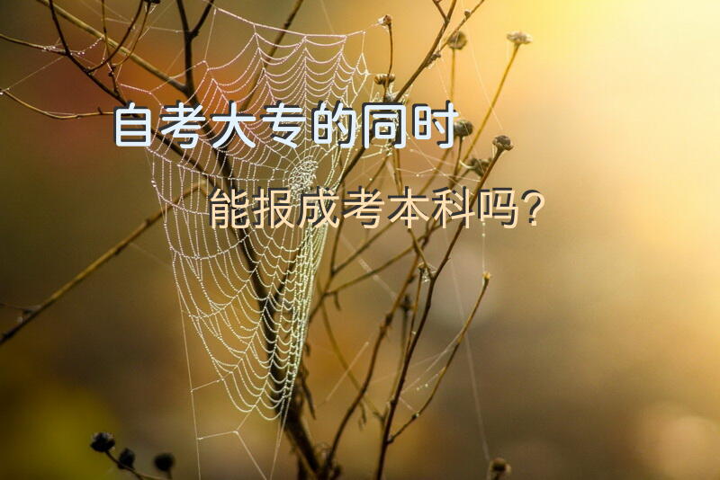 自考大专的同时能报成考本科吗？
