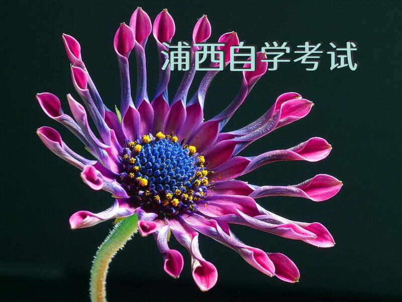 浦西自学考试