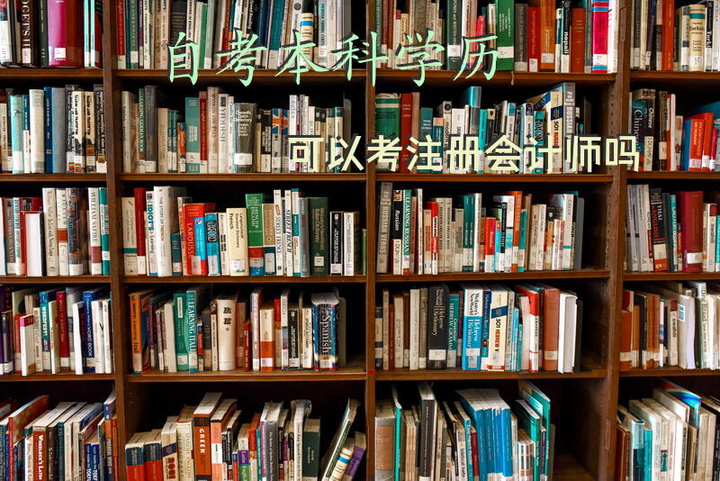 自考本科学历可以考注册会计师吗