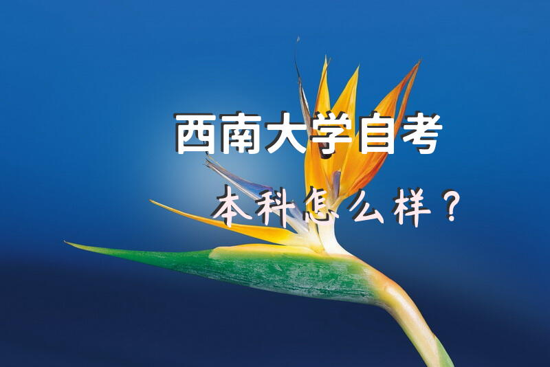 西南大学自考本科怎么样？