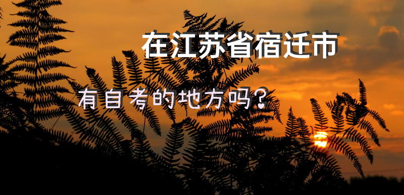 在江苏省宿迁市有自考的地方吗？