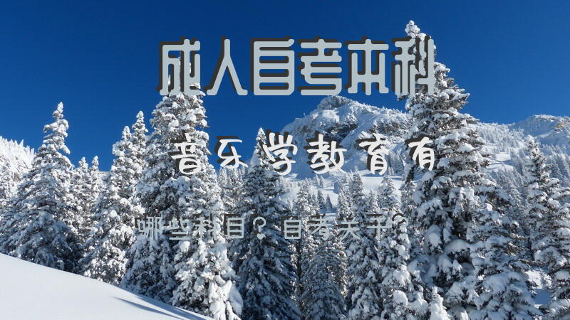 自考本科音乐学教育有哪些科目？自考关于？