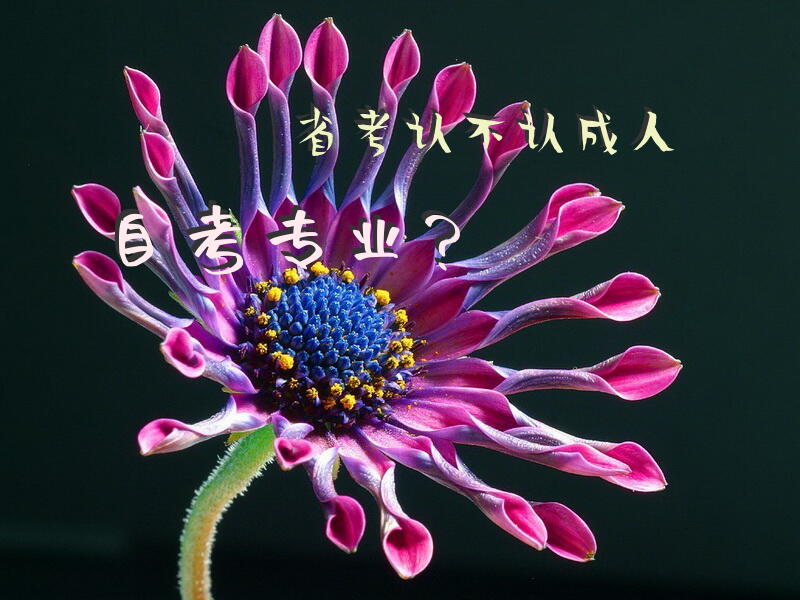 省考认不认自考专业？