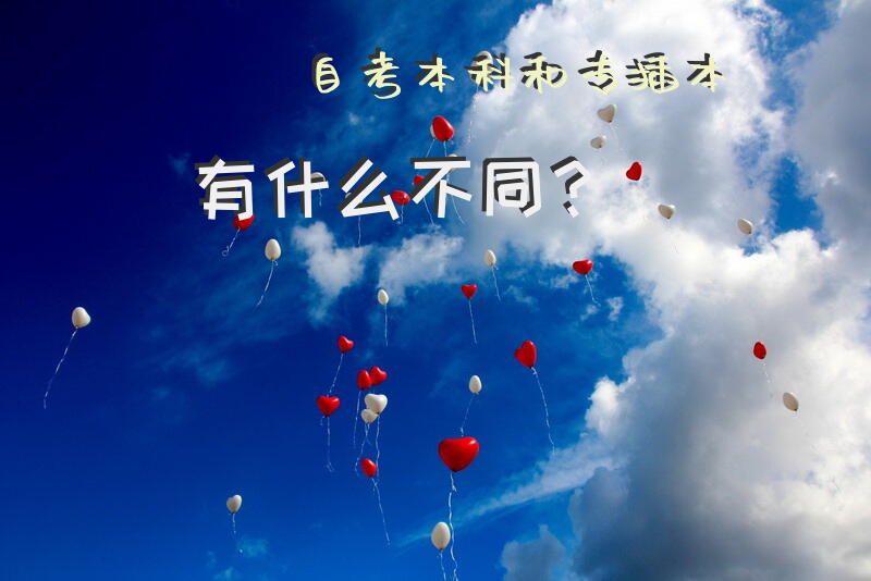 自考本科和专插本有什么不同？