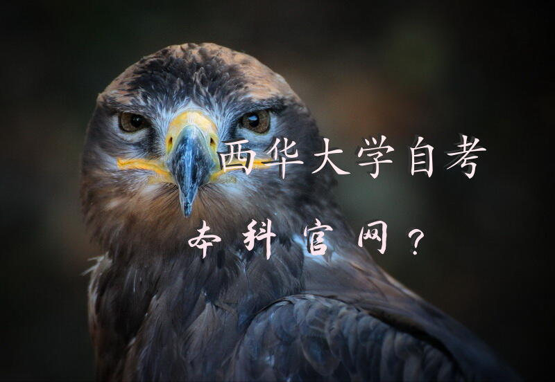 西华大学自考本科官网？