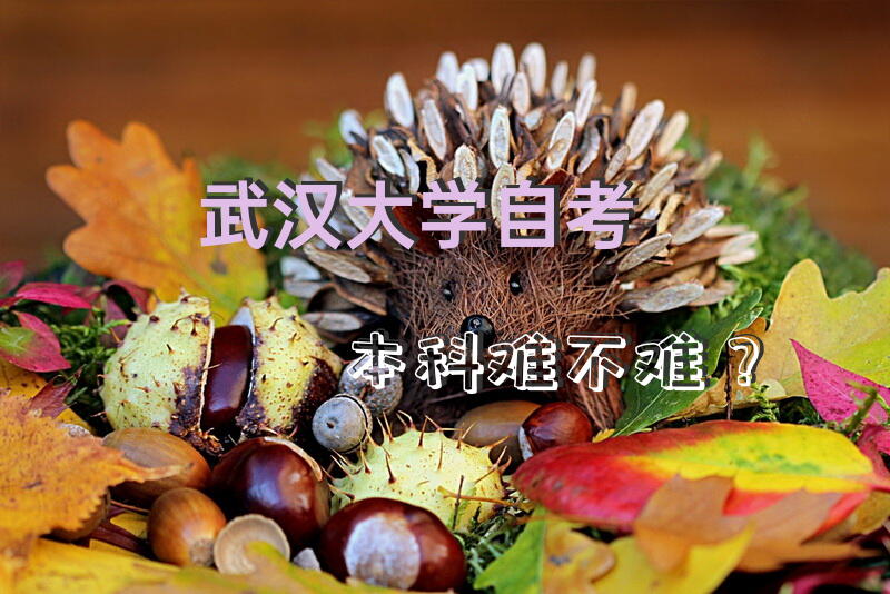 武汉大学自考本科难不难？