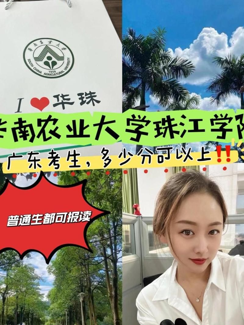 珠江学院自考本科助学班怎么样